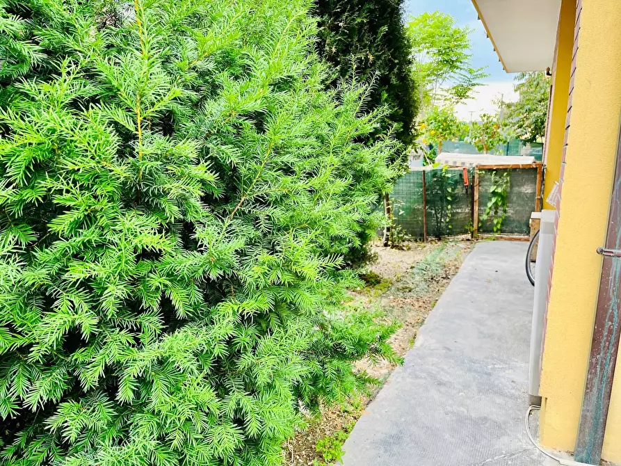 Immagine 2 di Appartamento in vendita  in Via Gian Battista Vico a Senigallia