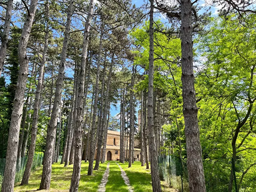 Immagine 29 di Casa indipendente in vendita  in via biondi a Montalto Delle Marche