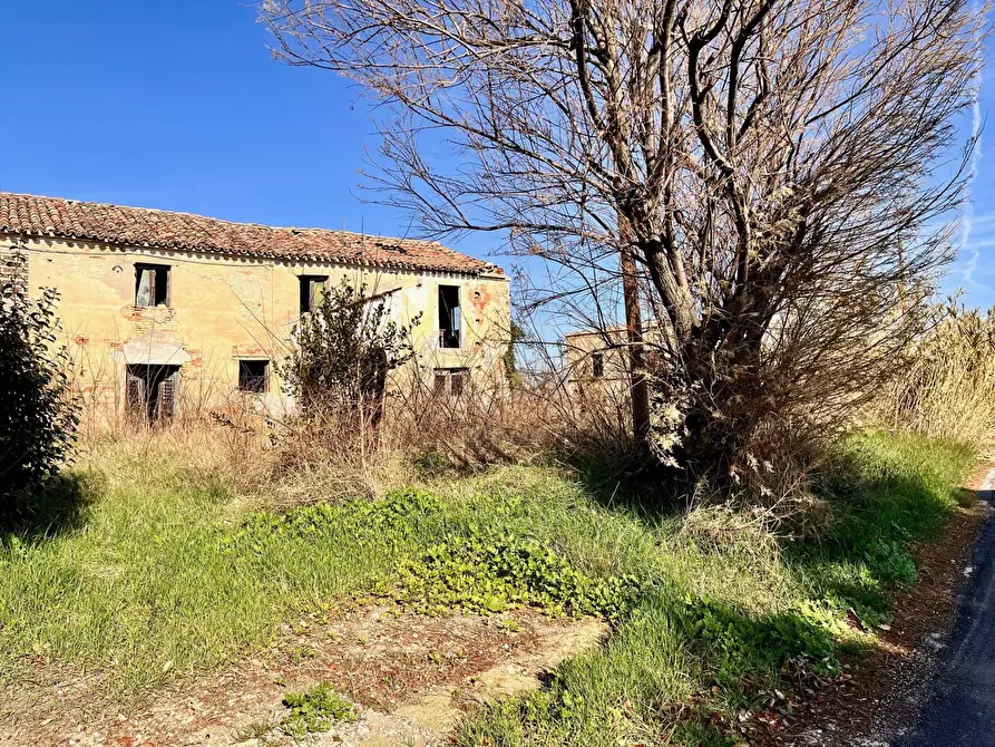 Immagine 5 di Rustico / casale in vendita  in via nocicchia a Montemarciano