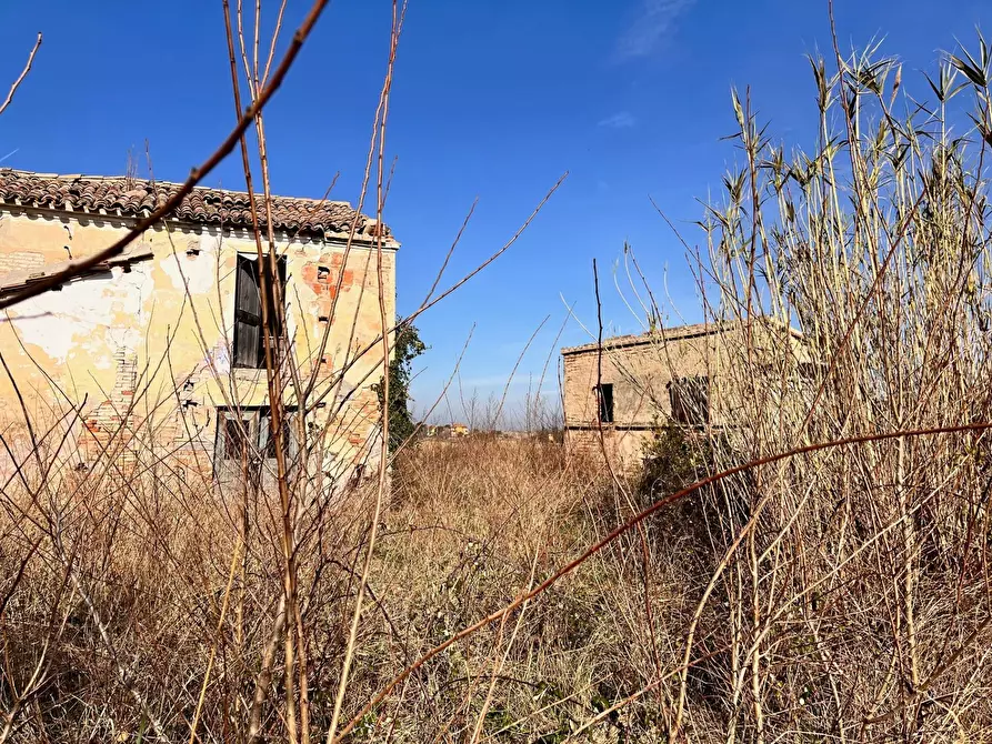 Immagine 6 di Rustico / casale in vendita  in via nocicchia a Montemarciano
