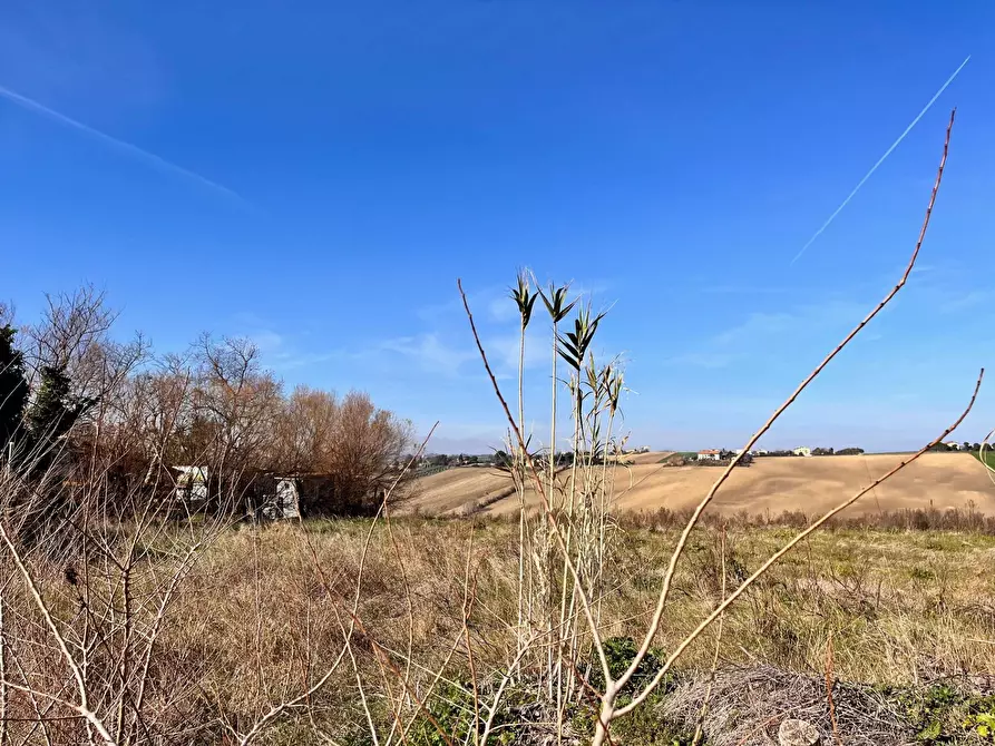 Immagine 9 di Rustico / casale in vendita  in via nocicchia a Montemarciano