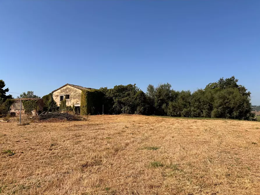 Immagine 1 di Rustico / casale in vendita  in via nocicchia a Montemarciano