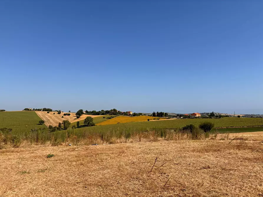 Immagine 2 di Rustico / casale in vendita  in via nocicchia a Montemarciano