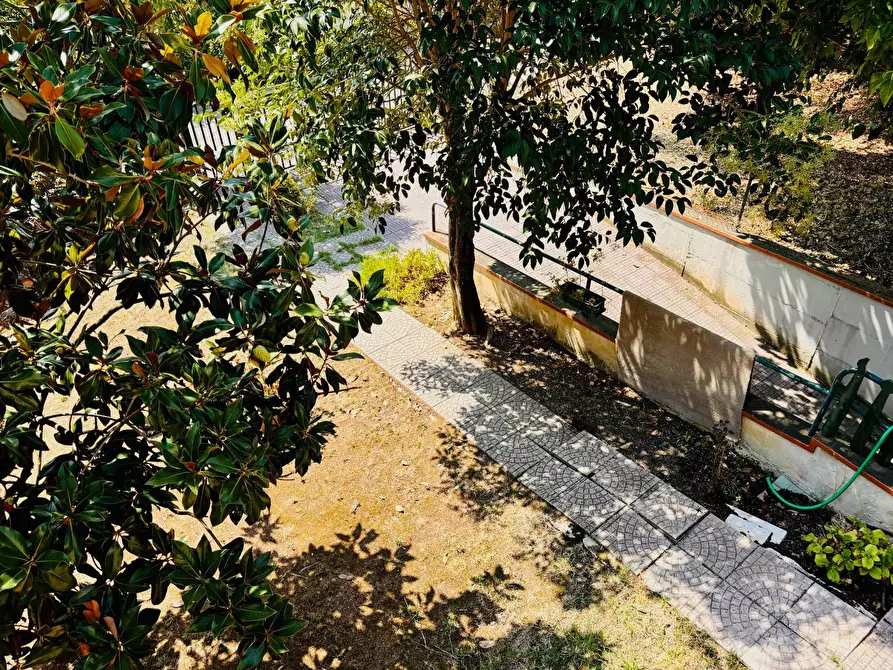 Immagine 24 di Casa indipendente in vendita  in via San Pietro a Montemarciano