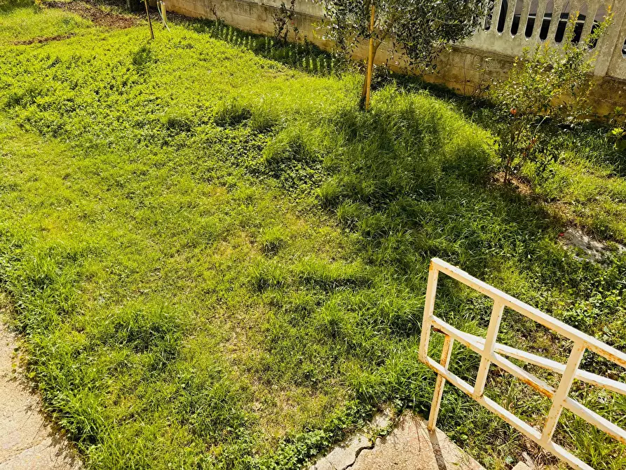 Immagine 20 di Appartamento in vendita  in via Leonardo da Vinci a Monte San Vito