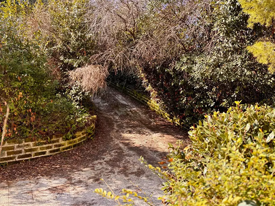Immagine 20 di Villa in vendita  in via media a Montemarciano