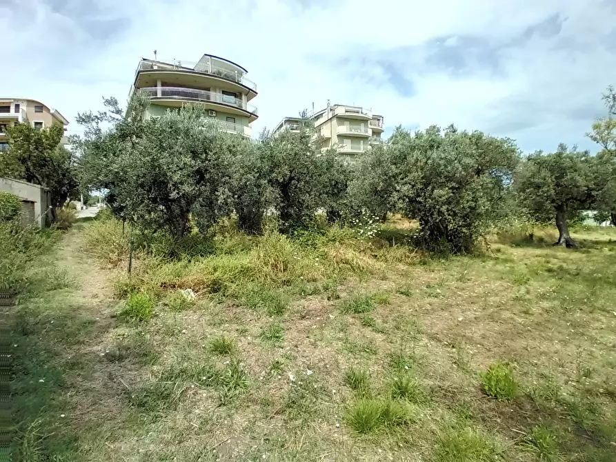 Immagine 5 di Terreno agricolo in vendita  in VIA DEL PORTO a Vasto