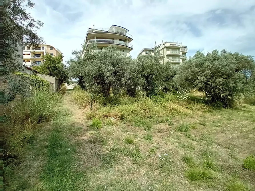 Immagine 7 di Terreno agricolo in vendita  in VIA DEL PORTO a Vasto