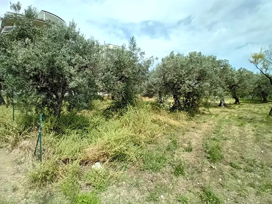 Immagine 8 di Terreno agricolo in vendita  in VIA DEL PORTO a Vasto