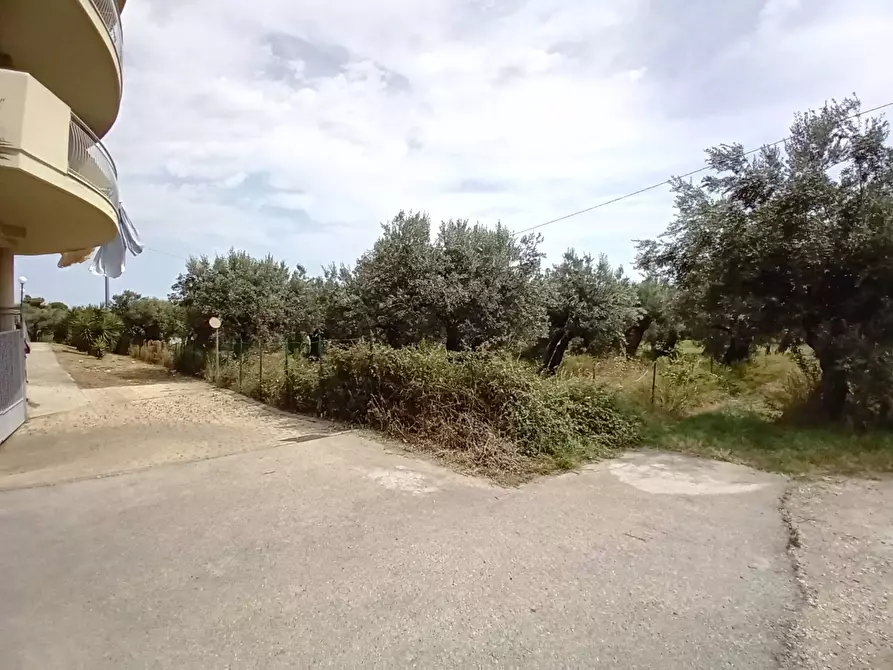 Immagine 9 di Terreno agricolo in vendita  in VIA DEL PORTO a Vasto