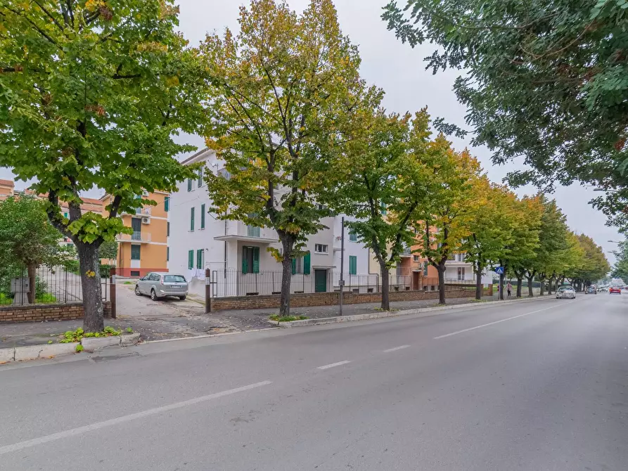 Immagine 22 di Appartamento in vendita  in VIA SILVIO E FRANCESCO CICCARONE a Vasto