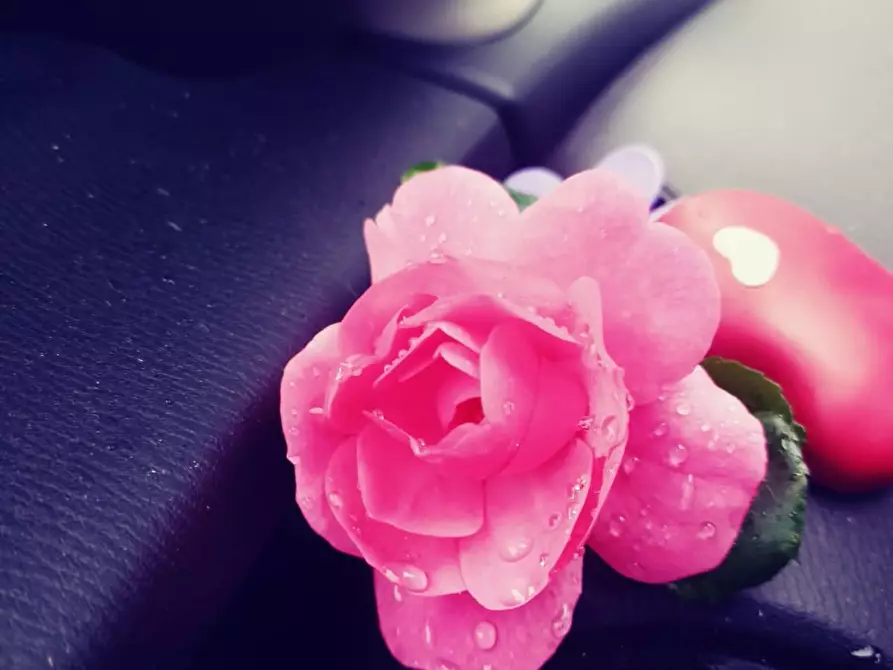 Immagine 6 di Locale commerciale in vendita  in via roma a Pegognaga