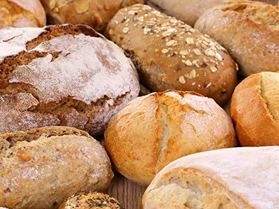 Immagine 3 di Agriturismo in vendita  in via roma a San Giovanni Lupatoto