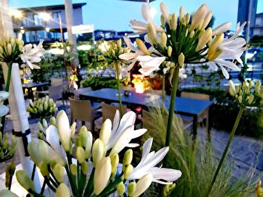 Immagine 4 di Bar / Ristorante in vendita  in viale della repubblica a Peschiera Del Garda