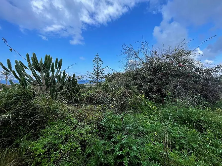 Immagine 25 di Casa indipendente in vendita  in Contrada Kazen a Pantelleria