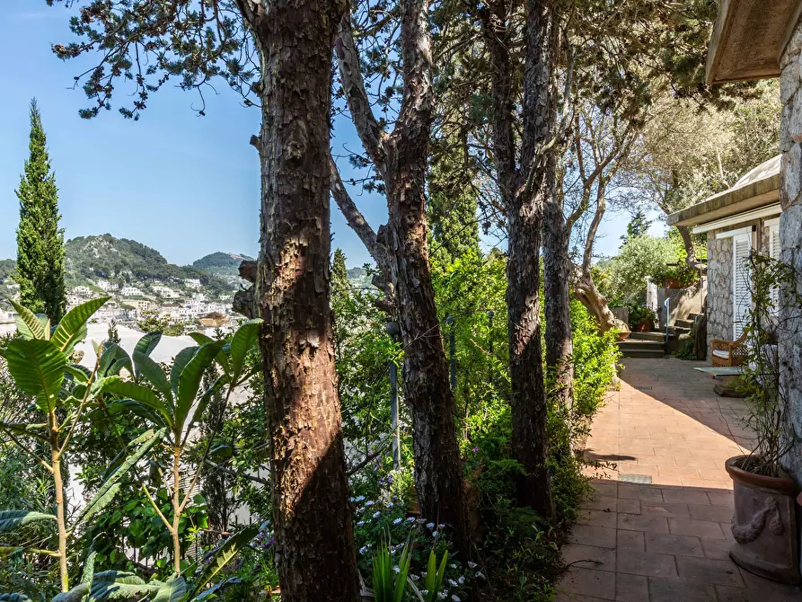 Immagine 15 di Villa in affitto  in Via del Castiglione a Capri