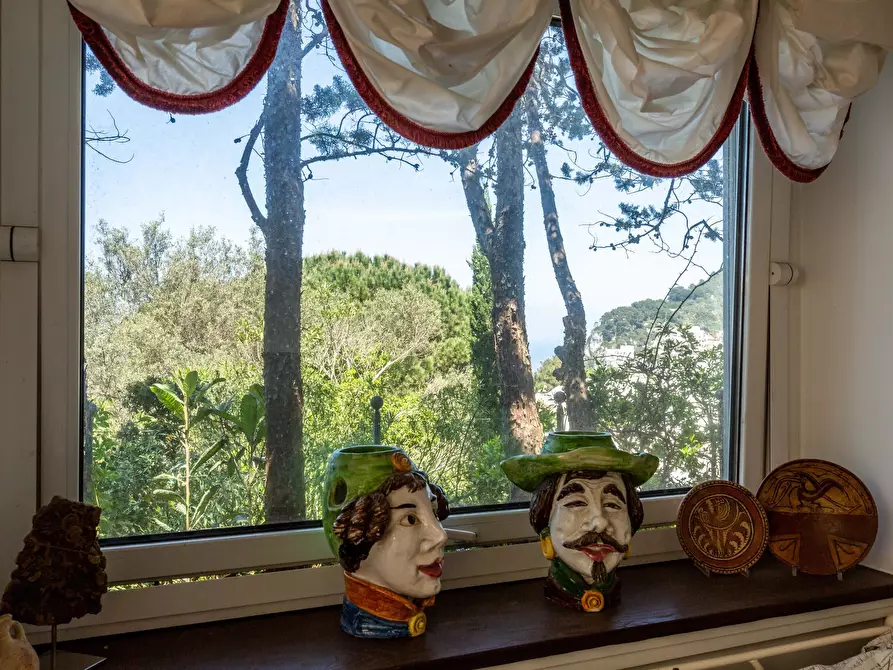 Immagine 12 di Villa in affitto  in Via del Castiglione a Capri