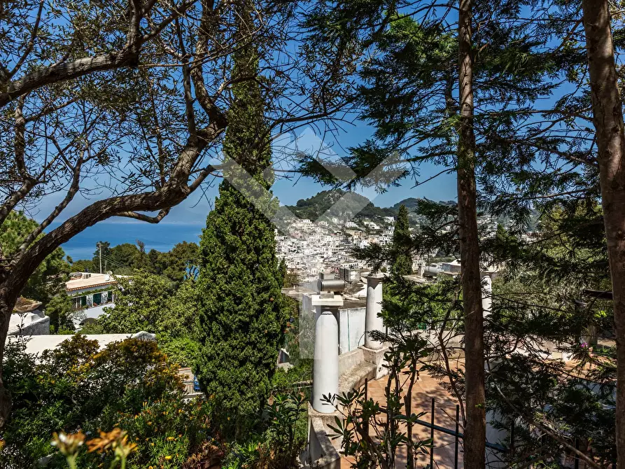 Immagine 20 di Villa in affitto  in Via del Castiglione a Capri