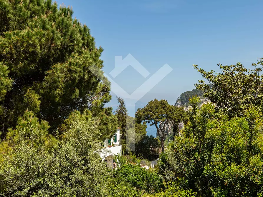 Immagine 17 di Villa in affitto  in Via del Castiglione a Capri