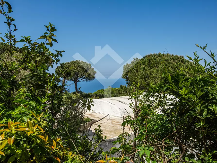 Immagine 21 di Villa in affitto  in Via del Castiglione a Capri