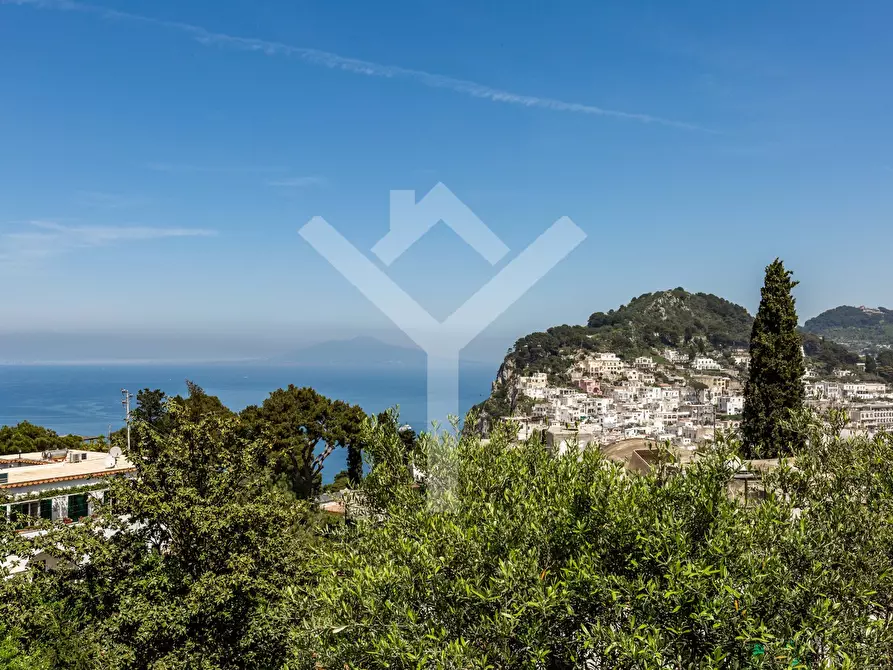 Immagine 5 di Villa in affitto  in Via del Castiglione a Capri