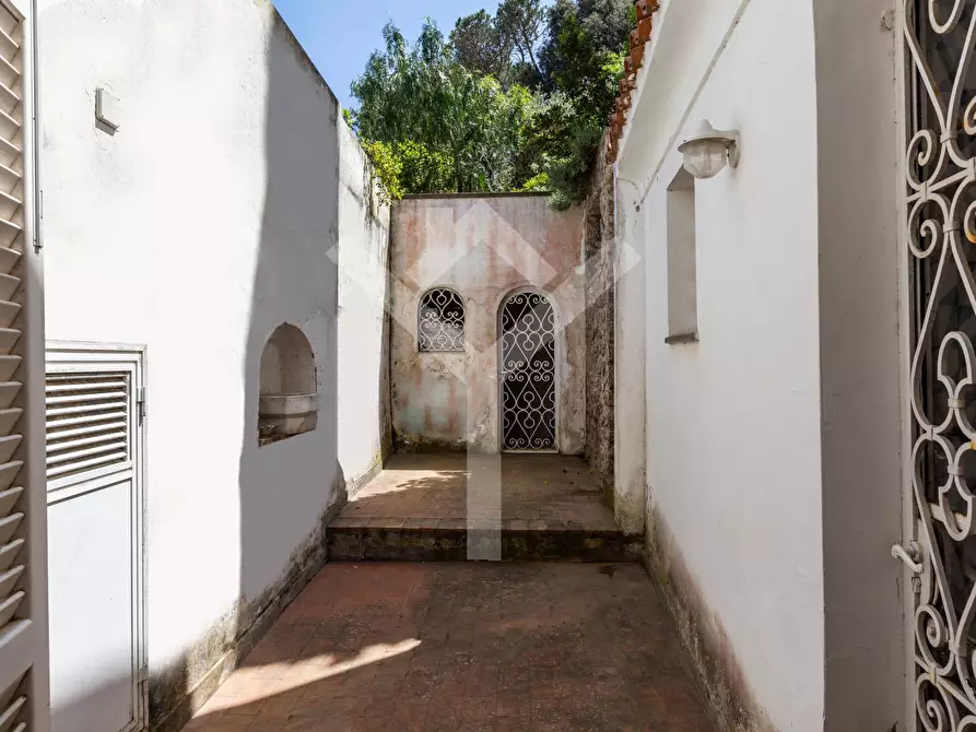 Immagine 17 di Villa in affitto  in Via del Castiglione a Capri