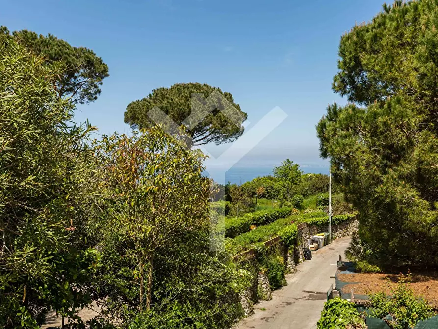 Immagine 16 di Villa in affitto  in Via del Castiglione a Capri