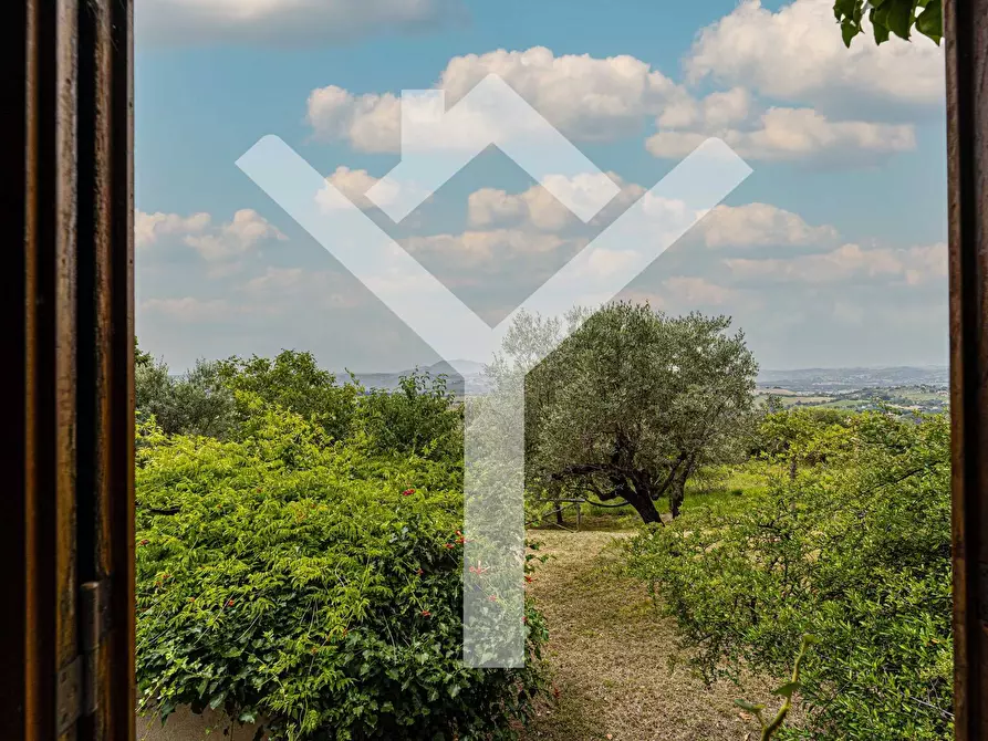 Immagine 30 di Villa in vendita  in Via Santa Maria a Montopoli Di Sabina