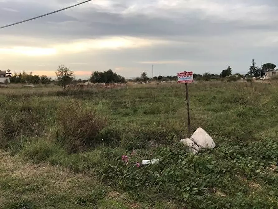 Immagine 7 di Terreno agricolo in vendita  in Contrada Pilarossa a Sannicandro Garganico