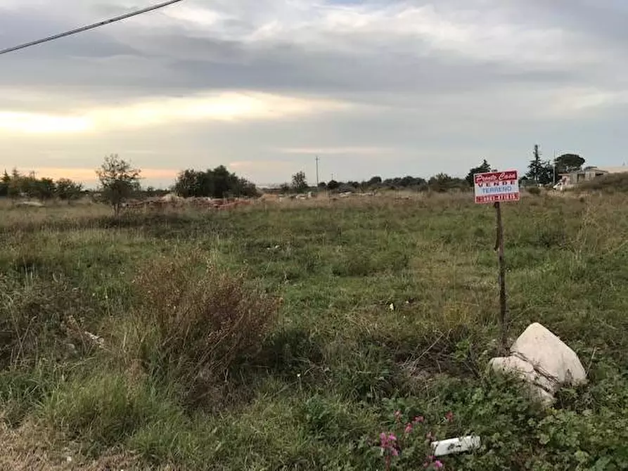 Immagine 4 di Terreno agricolo in vendita  in Contrada Pilarossa a Sannicandro Garganico