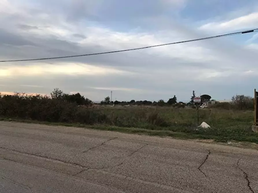 Immagine 6 di Terreno agricolo in vendita  in Contrada Pilarossa a Sannicandro Garganico