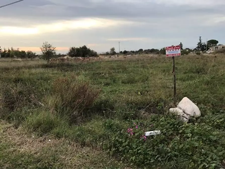 Immagine 5 di Terreno agricolo in vendita  in Contrada Pilarossa a Sannicandro Garganico