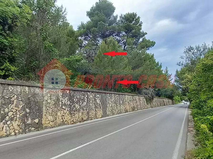 Immagine 3 di Terreno agricolo in vendita  in Strada Provinciale 528 a Vico Del Gargano