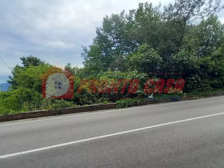 Immagine 4 di Terreno agricolo in vendita  in Strada Provinciale 528 a Vico Del Gargano