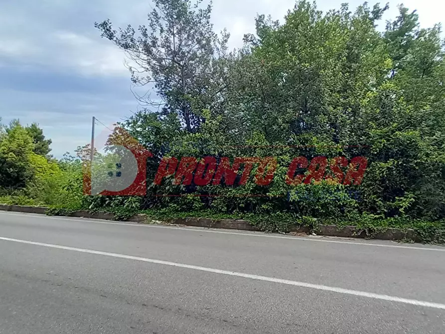 Immagine 5 di Terreno agricolo in vendita  in Strada Provinciale 528 a Vico Del Gargano