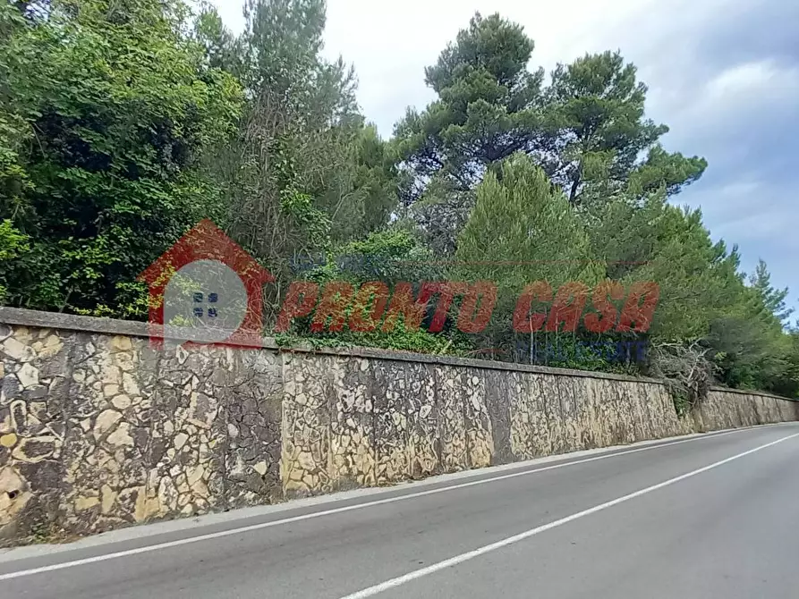 Immagine 6 di Terreno agricolo in vendita  in Strada Provinciale 528 a Vico Del Gargano
