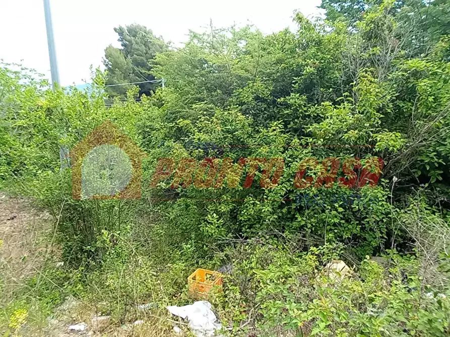 Immagine 7 di Terreno agricolo in vendita  in Strada Provinciale 528 a Vico Del Gargano