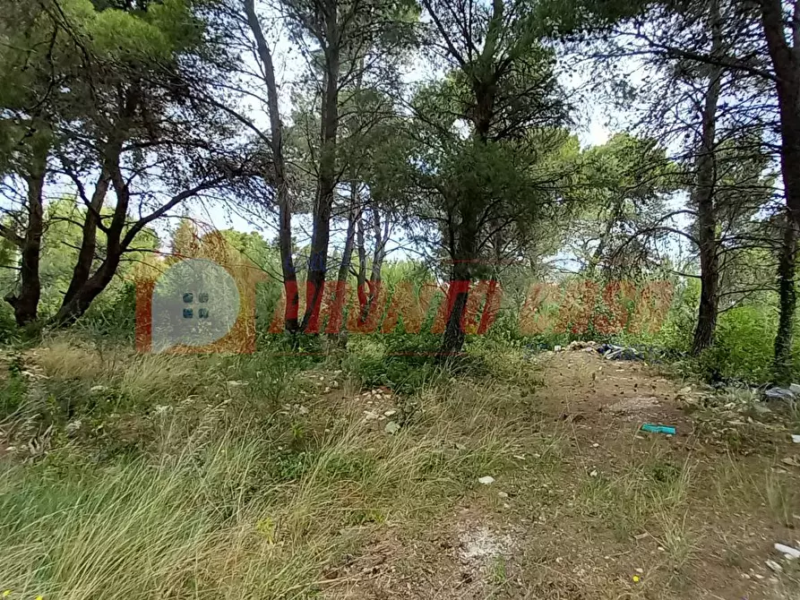 Immagine 9 di Terreno agricolo in vendita  in Strada Provinciale 528 a Vico Del Gargano