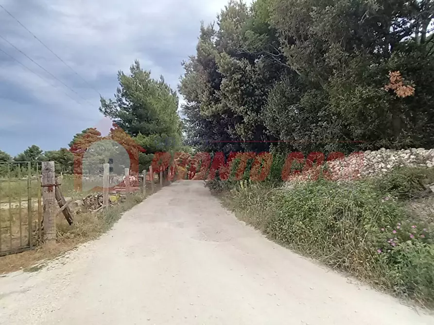 Immagine 12 di Terreno agricolo in vendita  in Strada Provinciale 528 a Vico Del Gargano