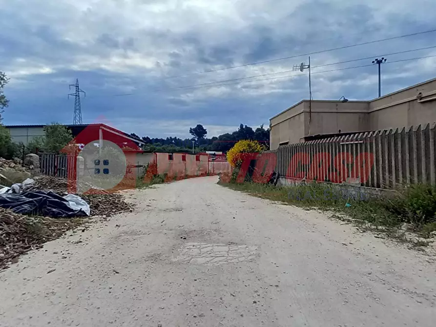 Immagine 13 di Terreno agricolo in vendita  in Strada Provinciale 528 a Vico Del Gargano