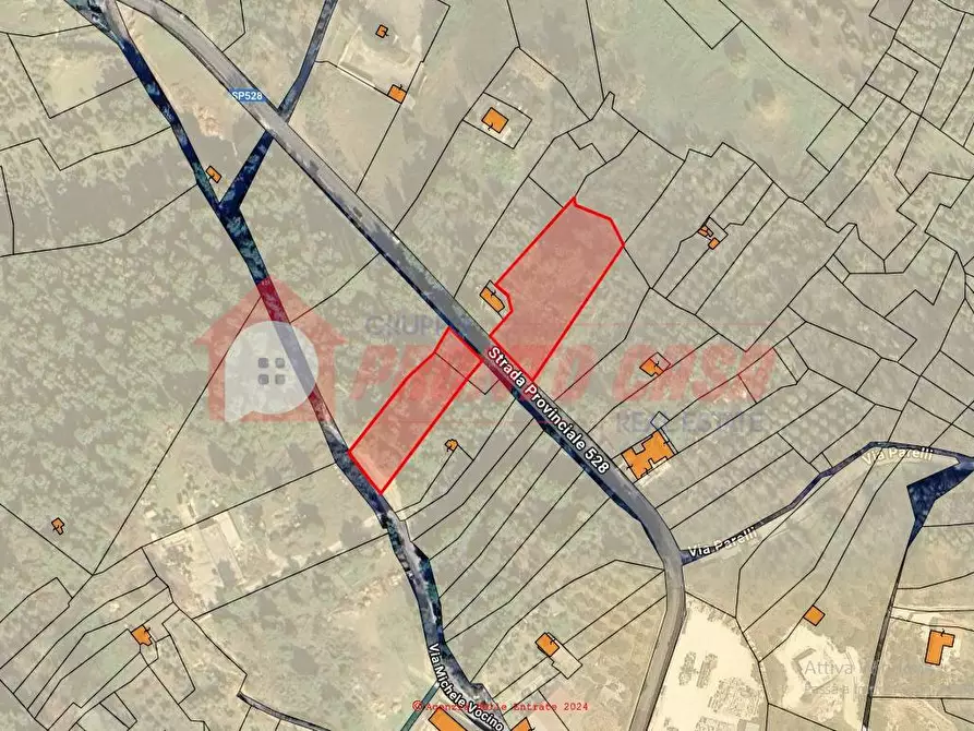 Immagine 14 di Terreno agricolo in vendita  in Strada Provinciale 528 a Vico Del Gargano