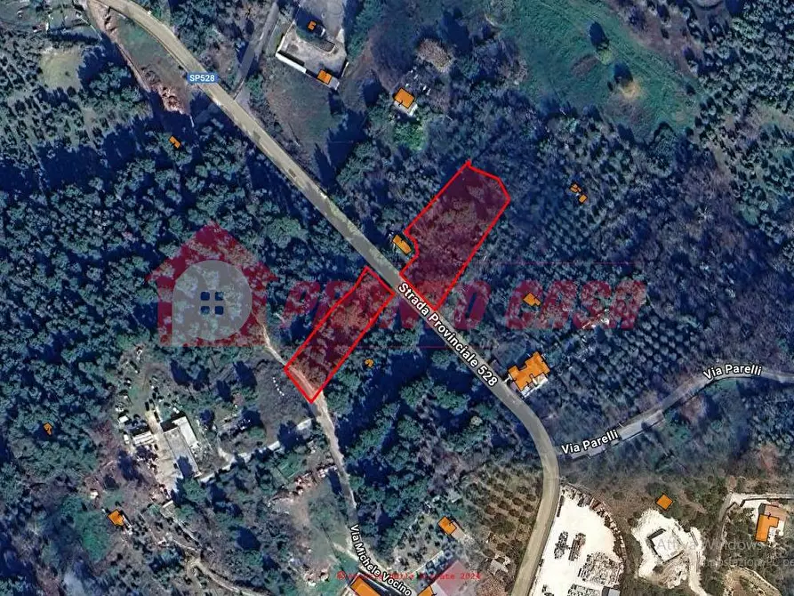 Immagine 15 di Terreno agricolo in vendita  in Strada Provinciale 528 a Vico Del Gargano