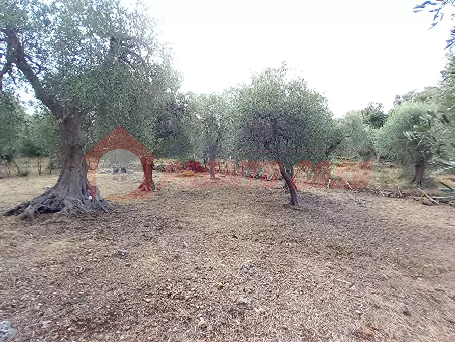 Immagine 16 di Terreno agricolo in vendita  in Contrada VALLONE DEI MULINI a Ischitella