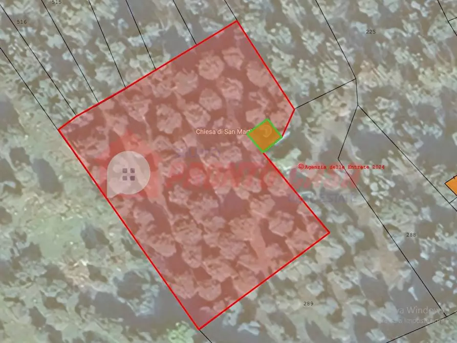 Immagine 20 di Terreno agricolo in vendita  in Contrada VALLONE DEI MULINI a Ischitella