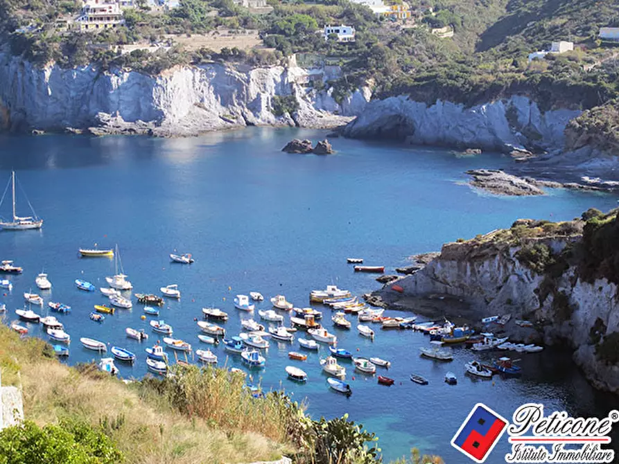 Immagine 14 di Villa in vendita  in Cala Feola a Ponza