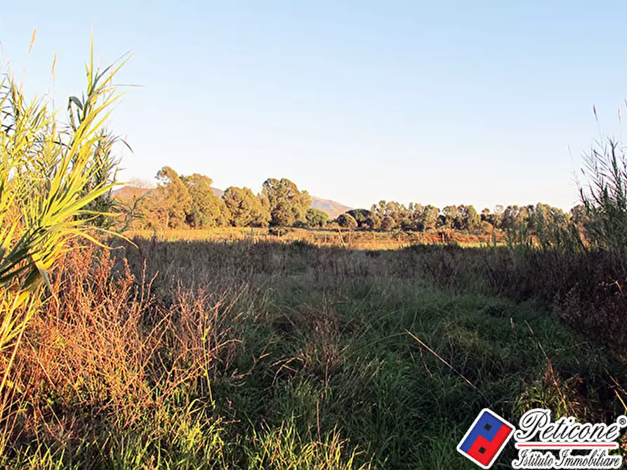 Immagine 4 di Terreno agricolo in vendita  in Via flacca km 8400 a Fondi