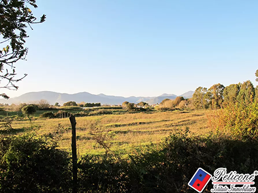 Immagine 3 di Terreno agricolo in vendita  in Via flacca km 8400 a Fondi