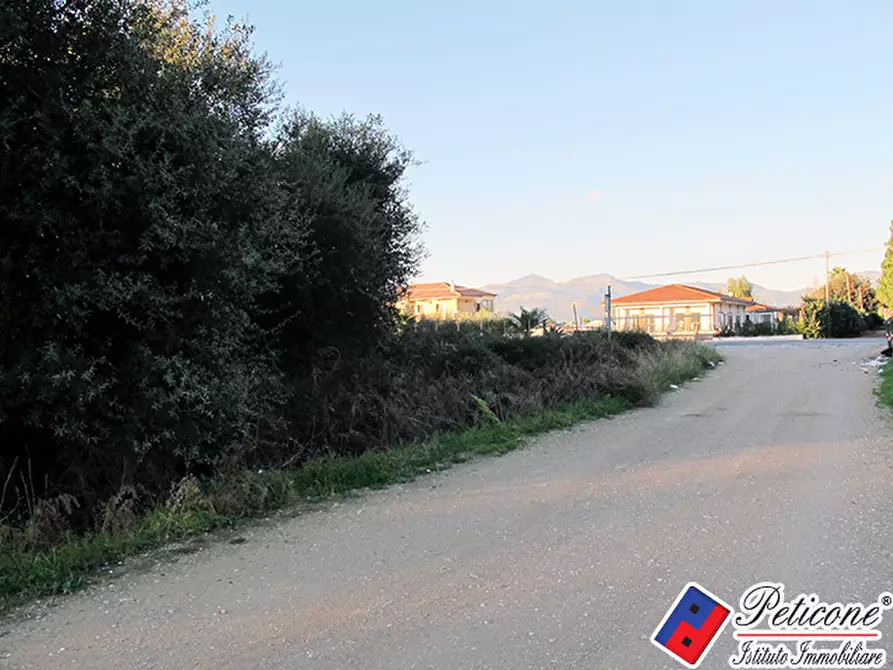Immagine 5 di Terreno agricolo in vendita  in Via flacca km 8400 a Fondi