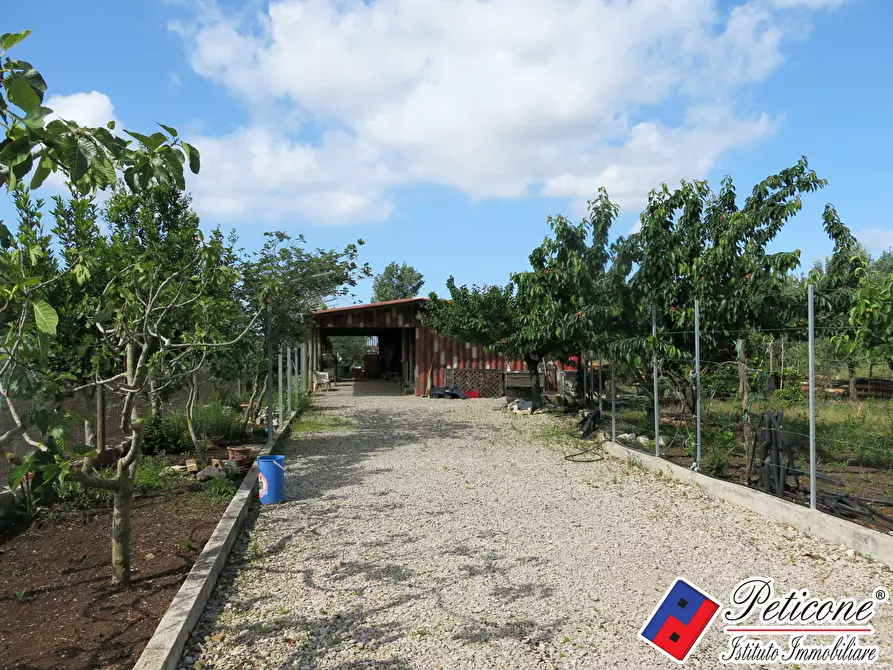 Immagine 1 di Terreno agricolo in vendita  in Via Vicinale Altone a Fondi