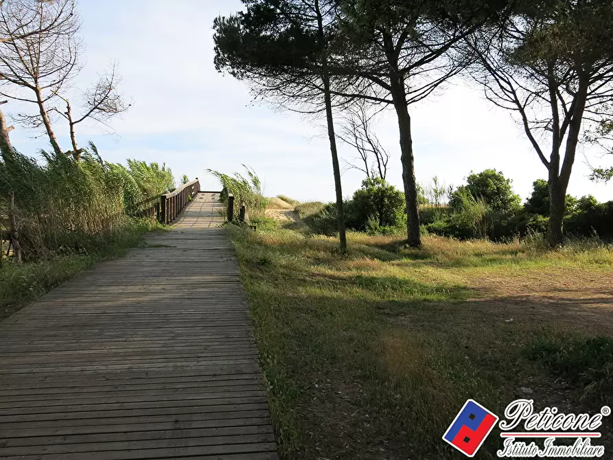 Immagine 27 di Villa in affitto  in Via del Pettirosso a Sperlonga